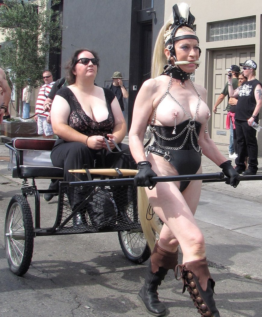 Bdsm запряженные в повозки