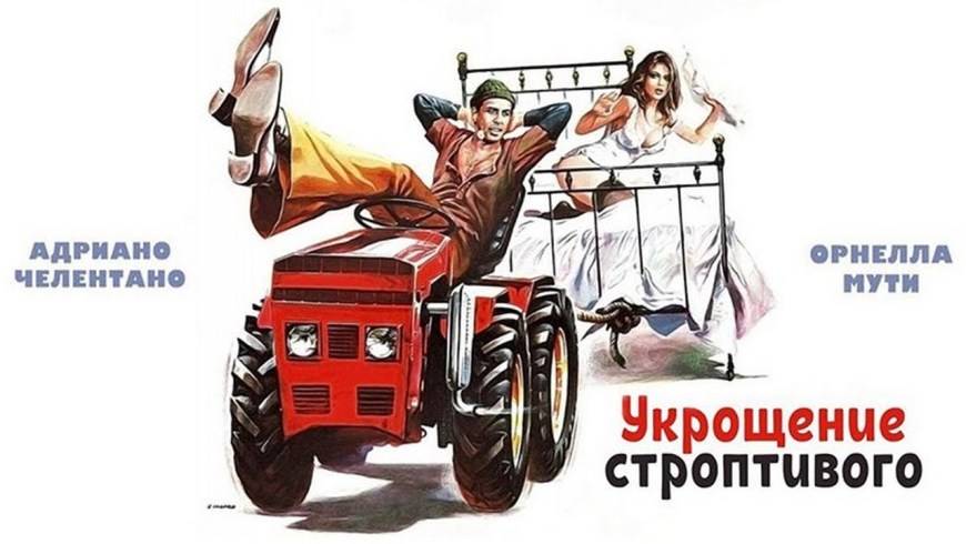 Укрощение строптивого Постер