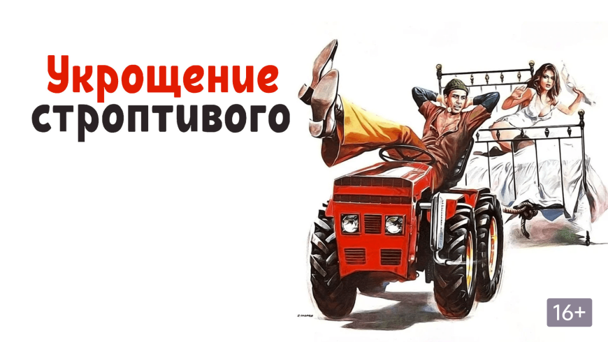 Укрощение строптивого Постер