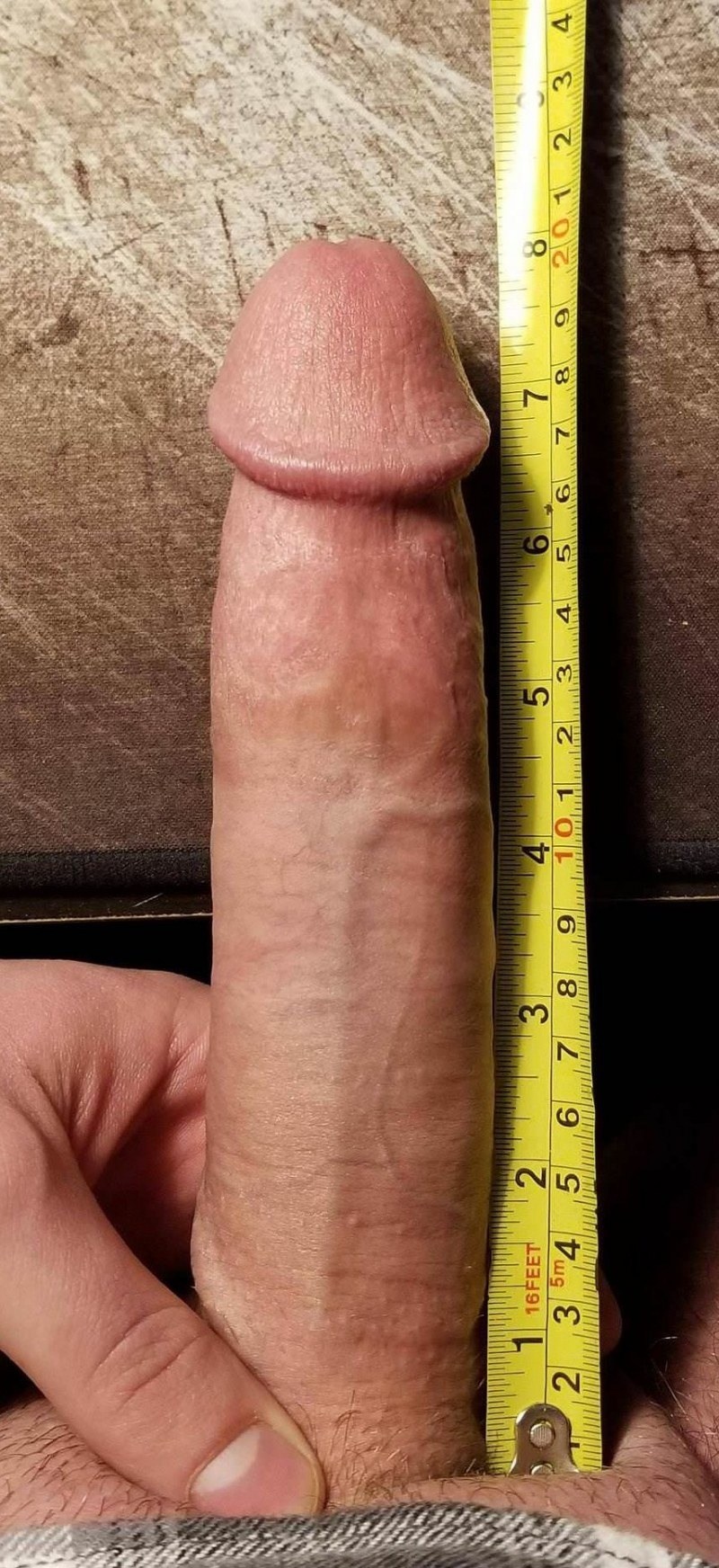 Член 17 см